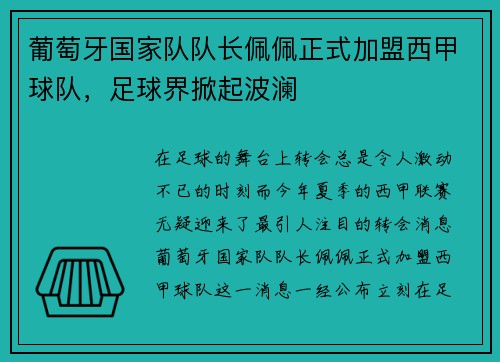葡萄牙国家队队长佩佩正式加盟西甲球队，足球界掀起波澜